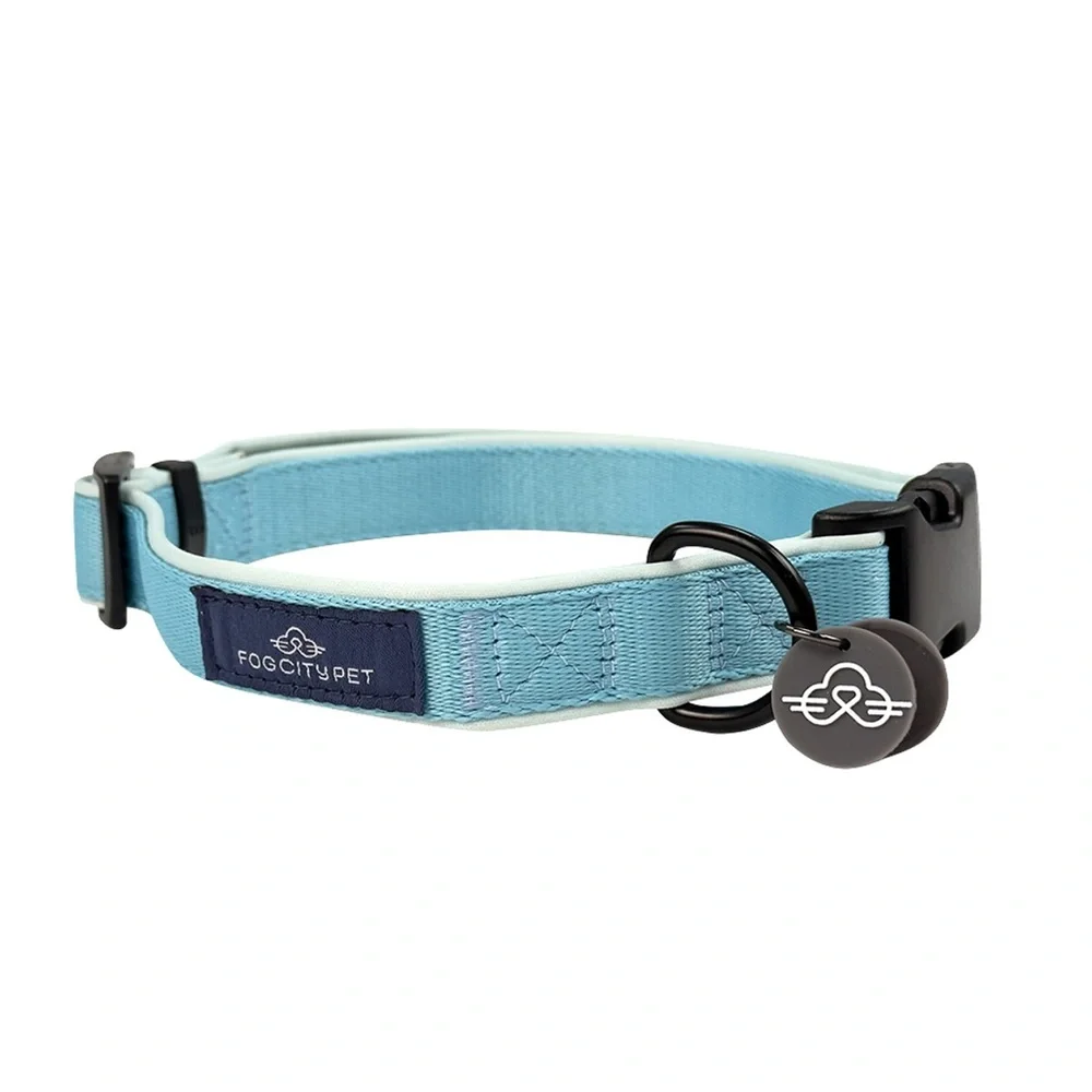 Fog City Pet Light Blue Daily Wear Dog Collar
